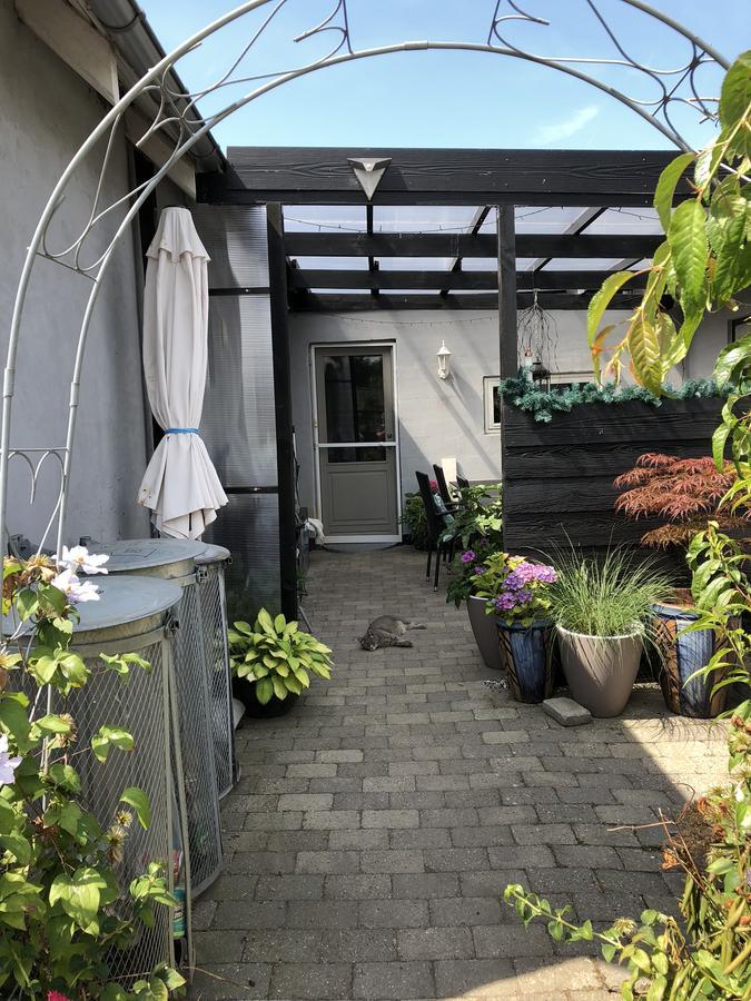 Svalegaarden Guesthouse Særslev 외부 사진